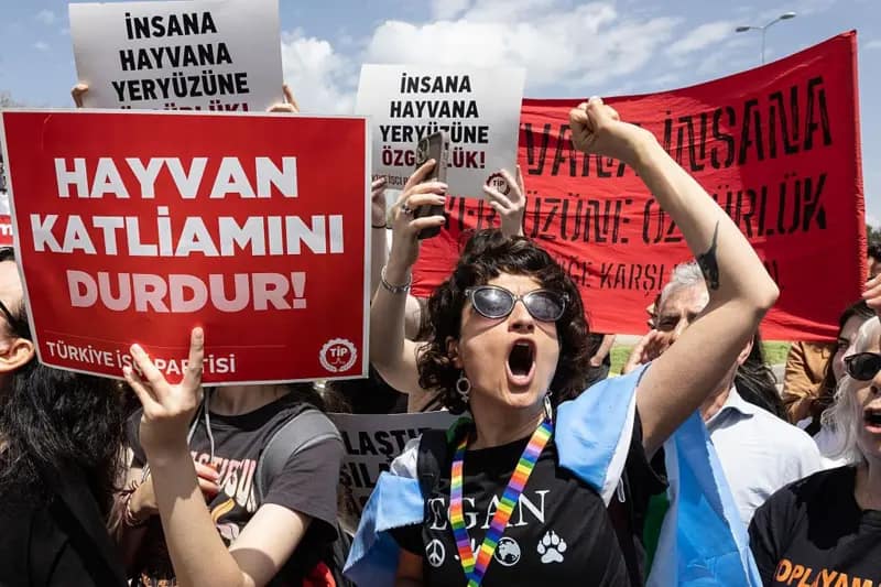 AYM KARARINA HAYVANSEVERLER NE DİYOR?